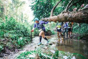 BIB: 
                            <button type="button" onclick="openModal(25474500)" class="btn btn-primary btn-sm float-right btn-popup" data-toggle="modal" data-target=".modal-high-quality">
                        <i class="fas fa-shopping-cart"></i> Add to Cart
                    </button>
                                            <button type="button" onclick="isThisMe(25474500, true)" class="btn btn-success btn-sm float-right btn-popup btn-isme hidden" data-toggle="tooltip" data-placement="bottom" title="นี่คือรูปของคุณใช่ไหม คลิกที่นี่เพื่อเอาเข้าอัลบั้ม">
                        <i class="fas fa-plus"></i> Add to album
                    </button>
                    <button type="button" onclick="isThisMe(25474500, false)" class="btn btn-warning btn-sm float-right btn-popup btn-isnotme hidden">
                        <i class="fas fa-ban"></i> Remove from album
                    </button>